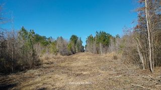 0 Chambers Road, Zavalla, TX 75980