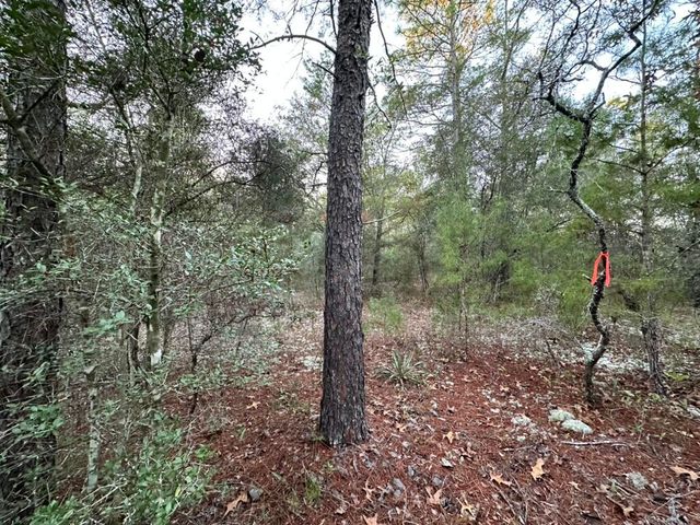 Lots 13-15 Flipper Lane, Defuniak Springs, FL 32433