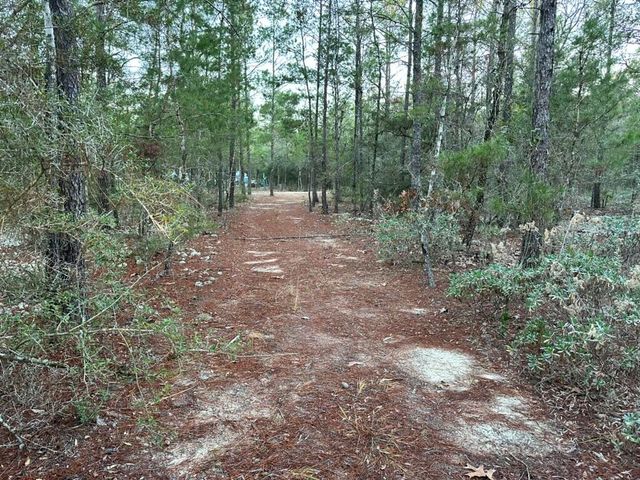 Lots 13-15 Flipper Lane, Defuniak Springs, FL 32433