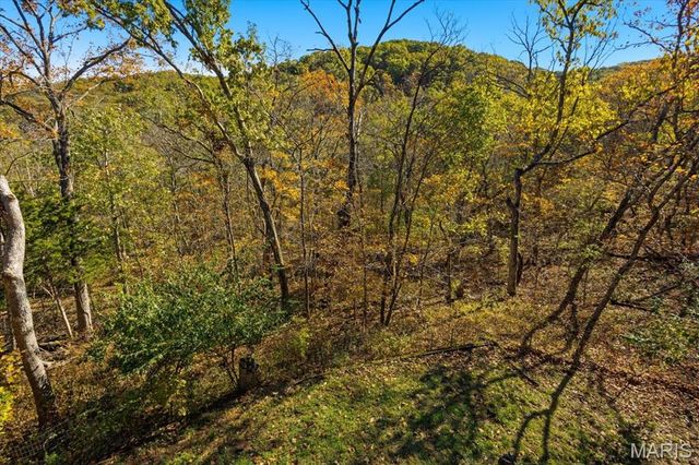 33 Wilderness Road, Eureka, MO 63025