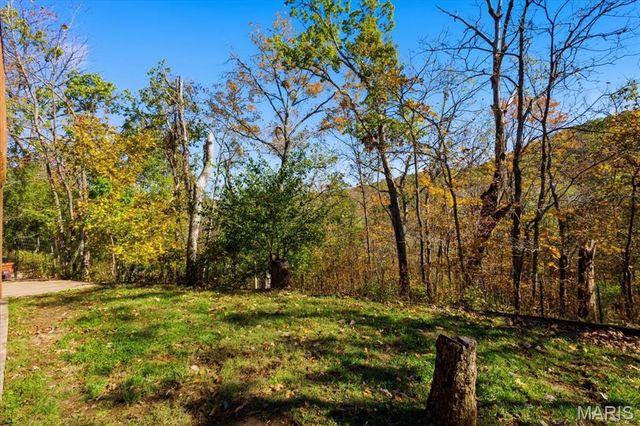 33 Wilderness Road, Eureka, MO 63025