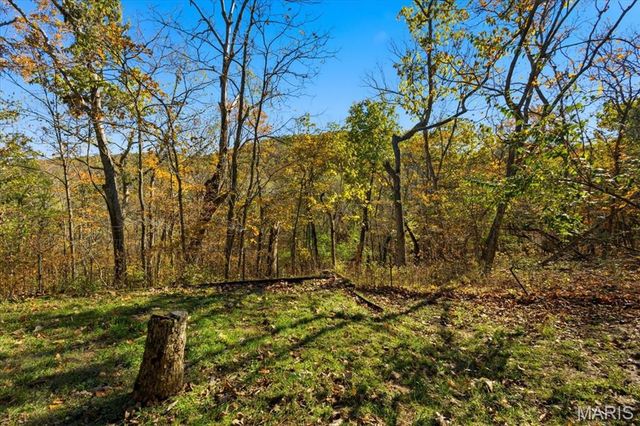 33 Wilderness Road, Eureka, MO 63025