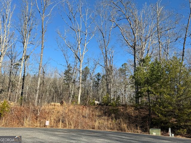 426 Rockhouse Crossing, Demorest, GA 30535