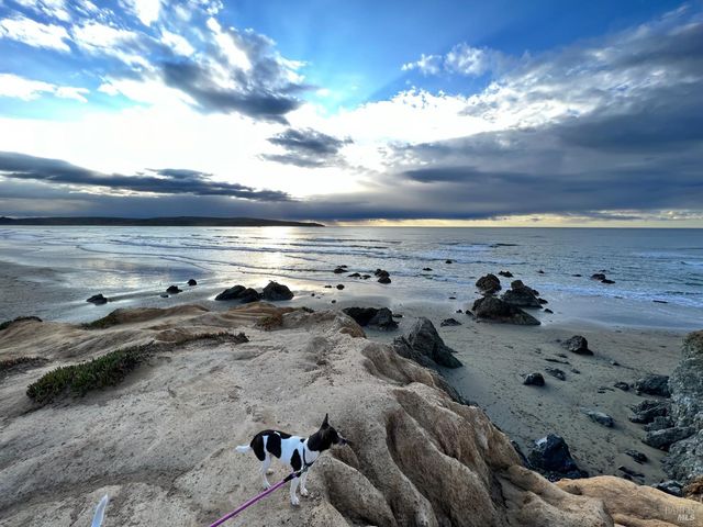 75 Ocean View Ave, Dillon Beach, CA 94929