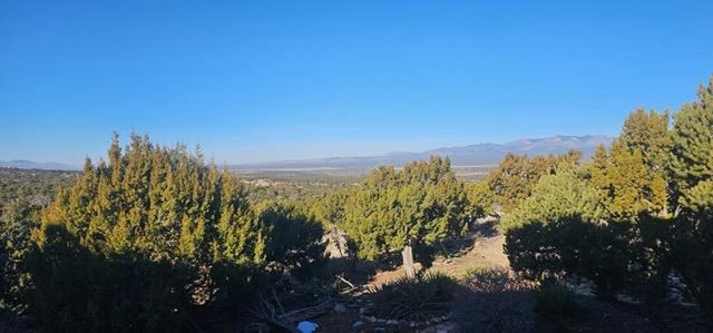 1249 Deer Canyon Trail, Mountainair, NM 87036