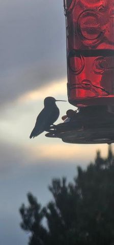 1249 Deer Canyon Trail, Mountainair, NM 87036