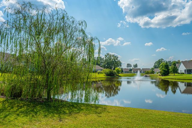 111 Corvus Street, Summerville, SC 29483