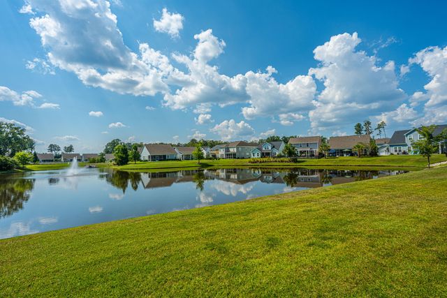 111 Corvus Street, Summerville, SC 29483