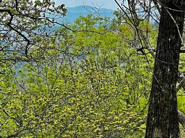 TR1-22 Majestic Mountain Trail, Murphy, NC 28906