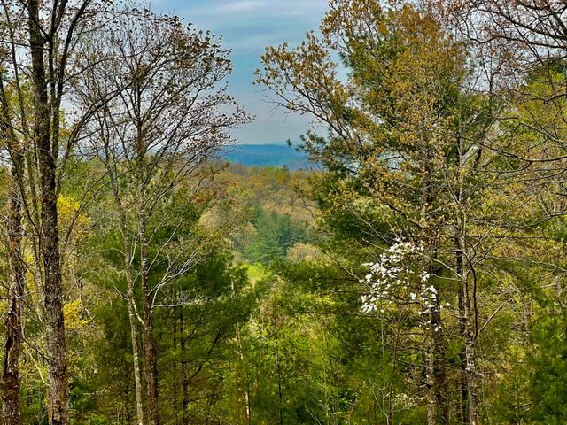 TR1-22 Majestic Mountain Trail, Murphy, NC 28906