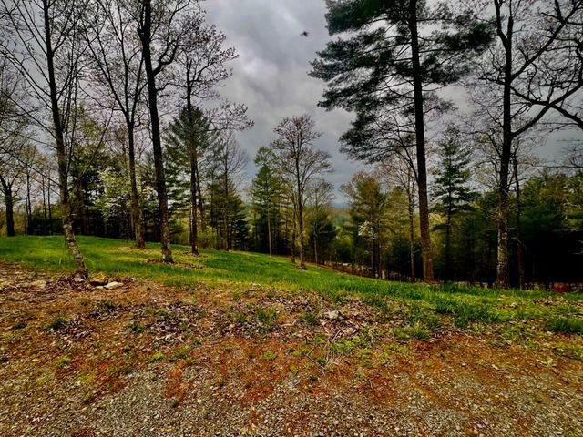 TR1-22 Majestic Mountain Trail, Murphy, NC 28906