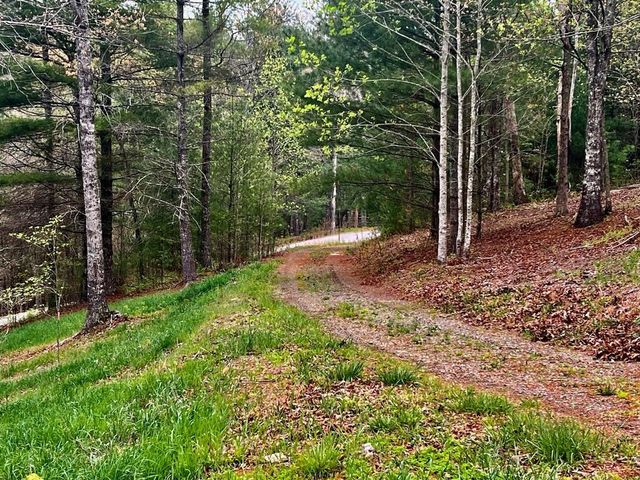 TR1-22 Majestic Mountain Trail, Murphy, NC 28906