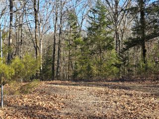 1191 County Road 3333, Omaha, TX 75571