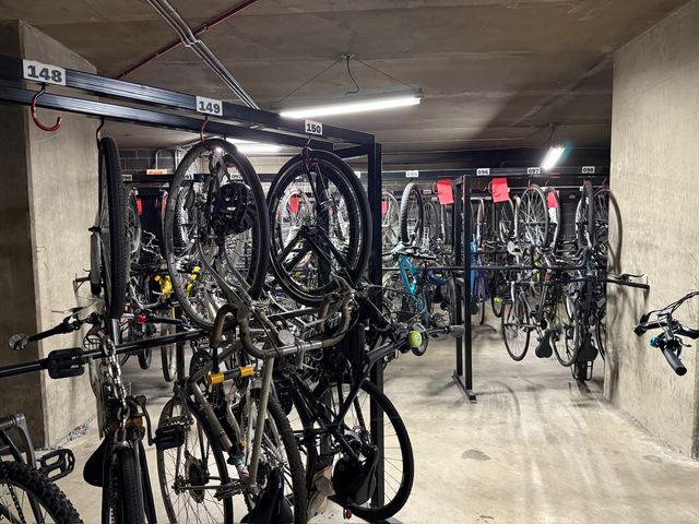 3930 N Pine Grove Avenue 1109, Chicago, IL 60613