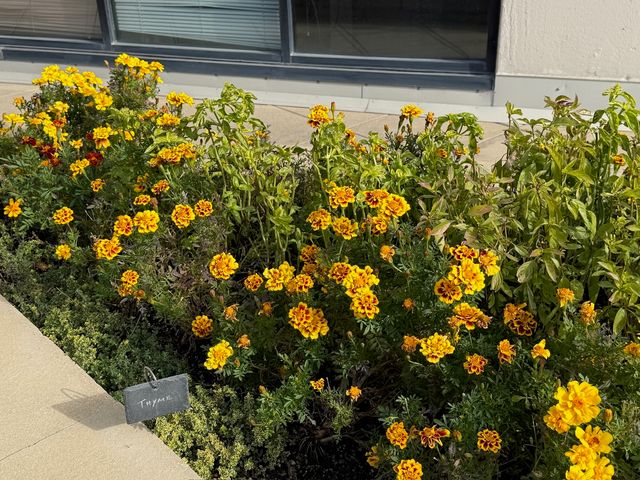 3930 N Pine Grove Avenue 1109, Chicago, IL 60613