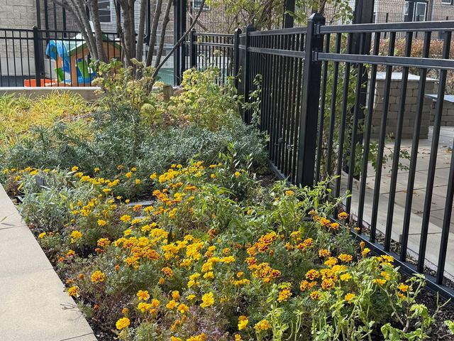 3930 N Pine Grove Avenue 1109, Chicago, IL 60613