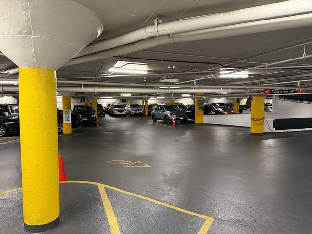 3930 N Pine Grove Avenue 1109, Chicago, IL 60613