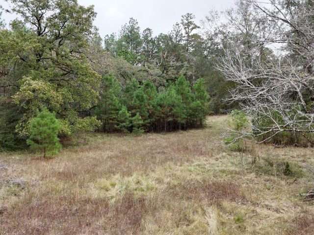 13.71 Acres Tract 1 Tbd Percy Howard Rd, Huntsville, TX 77320