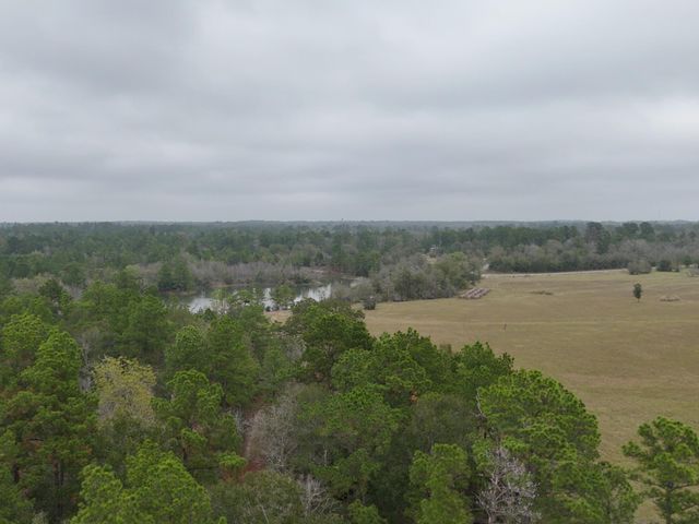 13.71 Acres Tract 1 Tbd Percy Howard Rd, Huntsville, TX 77320
