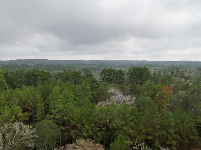 13.71 Acres Tract 1 Tbd Percy Howard Rd, Huntsville, TX 77320