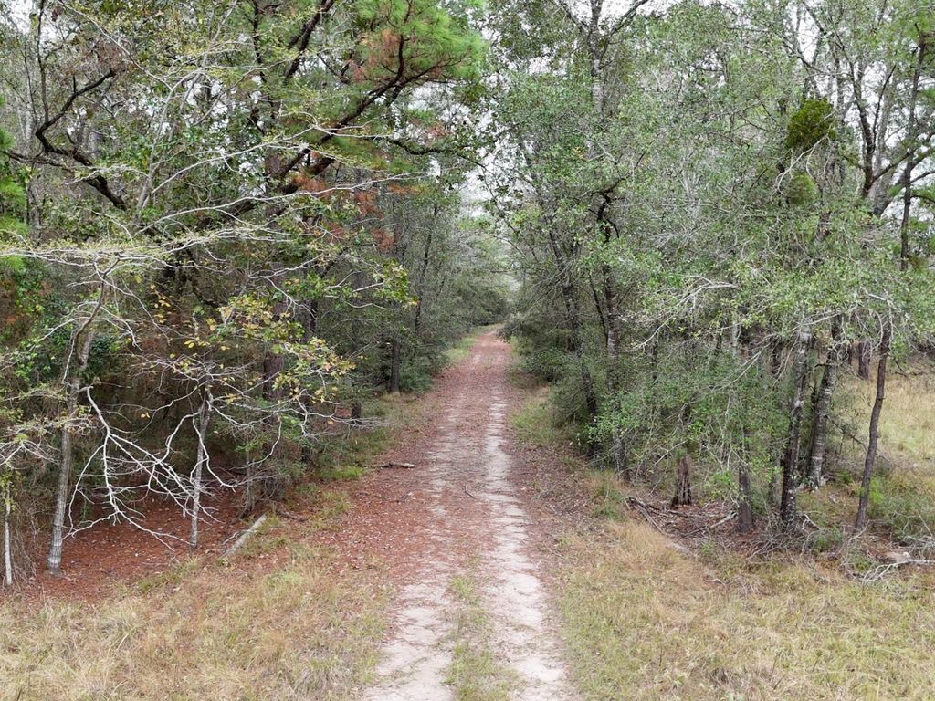 13.71 Acres Tract 1 Tbd Percy Howard Rd, Huntsville, TX 77320