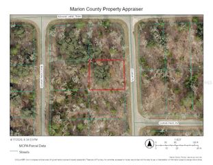 000 GUAVA PLACE, Ocklawaha, FL 32179
