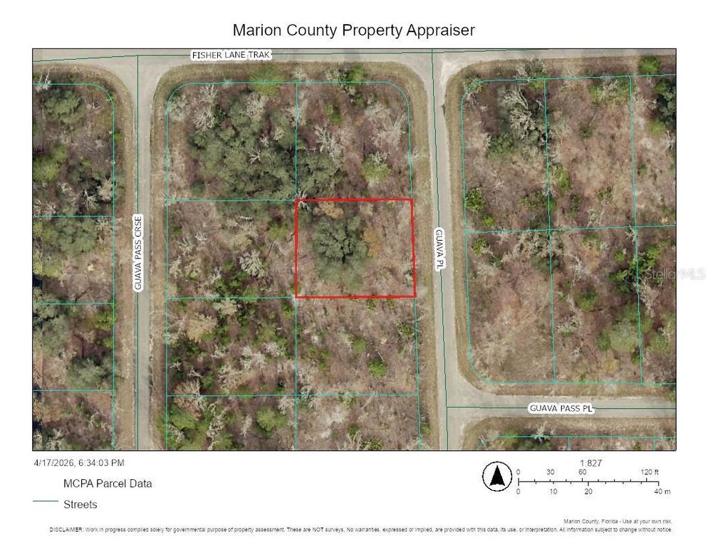 Image 1 of property listing at 000 GUAVA PLACE, Ocklawaha, FL 32179