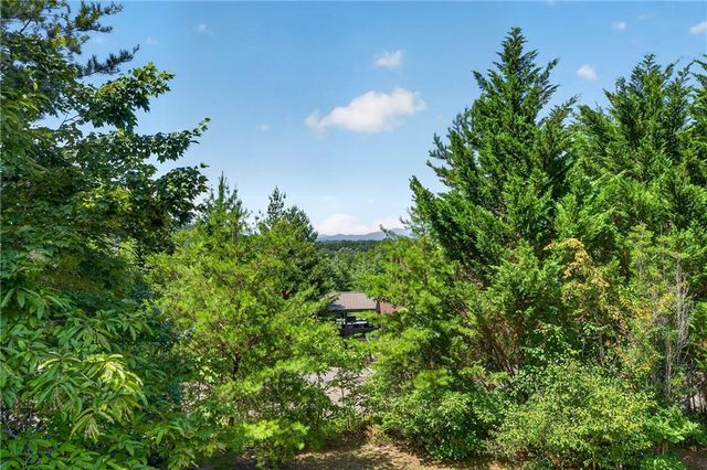 78 Mountain Peaks Lane, Blue Ridge, GA 30513