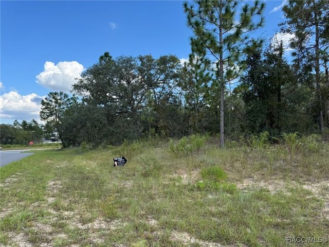 6717 N Libby Terrace, Citrus Springs, FL 34433