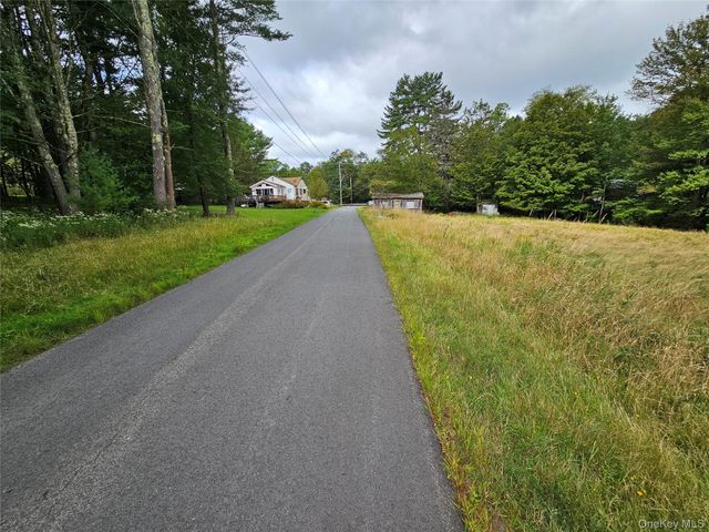 3624 State Route 55, Kauneonga Lake, NY 12720