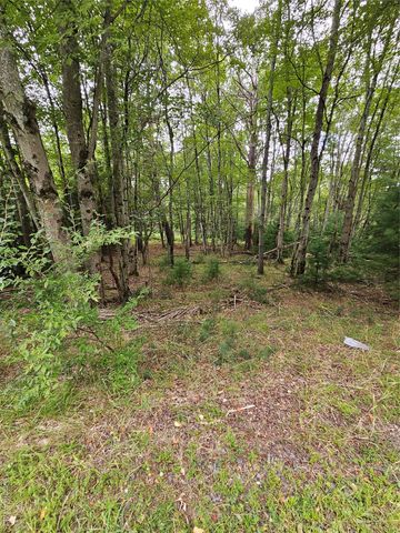 3624 State Route 55, Kauneonga Lake, NY 12720