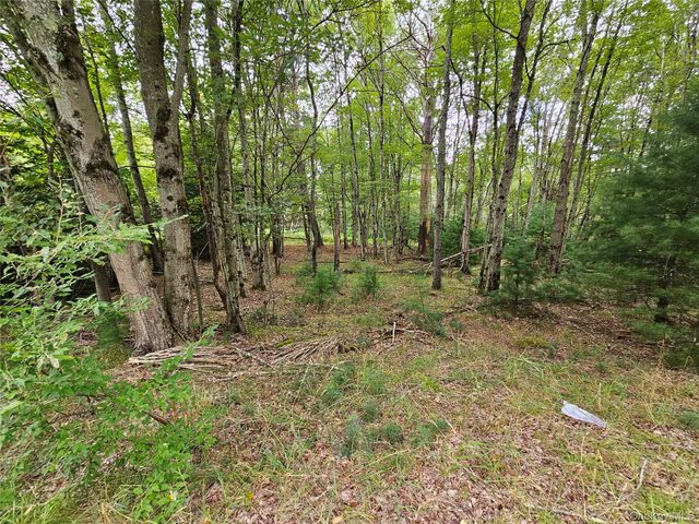 3624 State Route 55, Kauneonga Lake, NY 12720