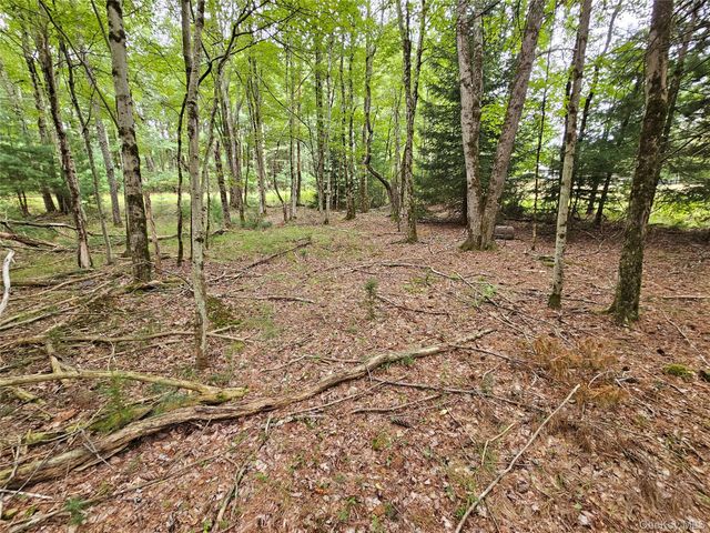 3624 State Route 55, Kauneonga Lake, NY 12720