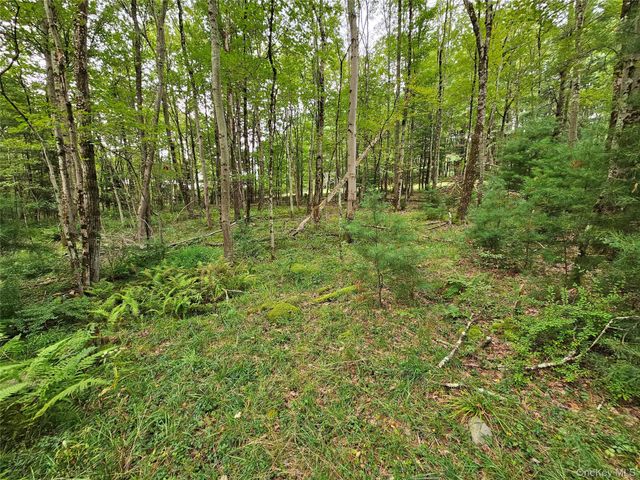 3624 State Route 55, Kauneonga Lake, NY 12720