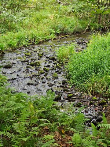 3624 State Route 55, Kauneonga Lake, NY 12720