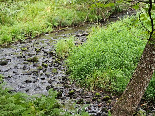 3624 State Route 55, Kauneonga Lake, NY 12720