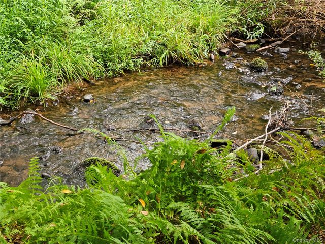 3624 State Route 55, Kauneonga Lake, NY 12720