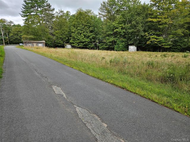 3624 State Route 55, Kauneonga Lake, NY 12720