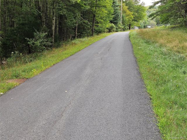 3624 State Route 55, Kauneonga Lake, NY 12720