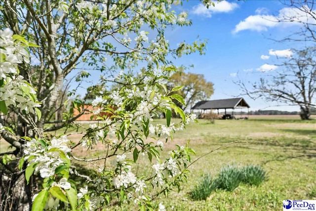 1652 N Hwy 381, Mccoll, SC 29570