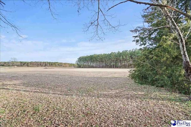 1652 N Hwy 381, Mccoll, SC 29570