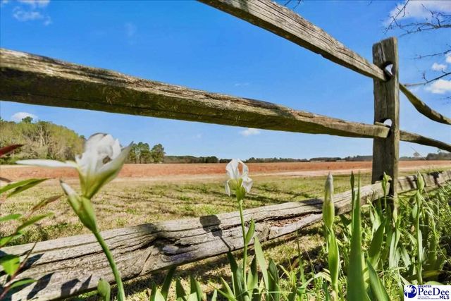 1652 N Hwy 381, Mccoll, SC 29570