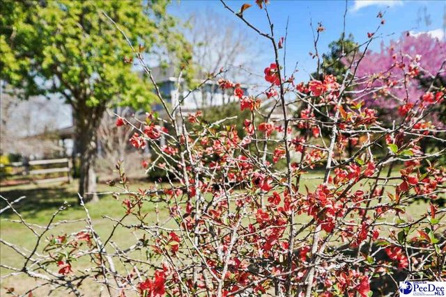 1652 N Hwy 381, Mccoll, SC 29570