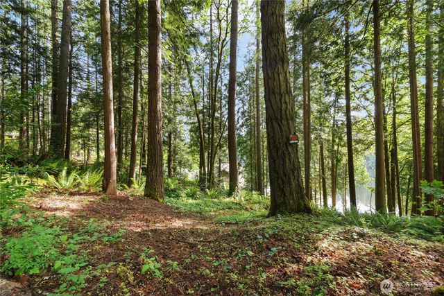3304 W Ames Lake Drive NE, Redmond, WA 98053