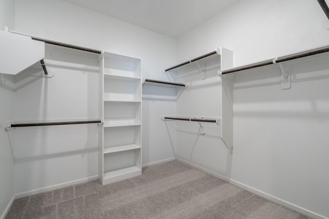 31918 Sorrel Copley Lane, Hockley, TX 77447