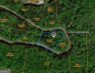 0 Shake Hollow Drive, Dillard, GA 30537