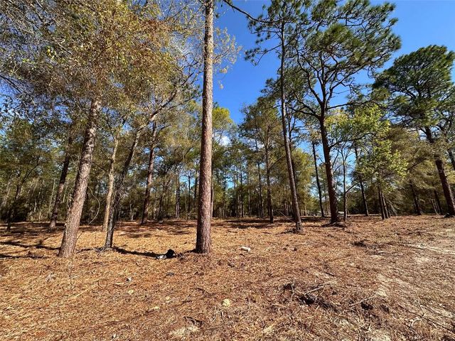 0 W HWY 40, Ocala, FL 34481