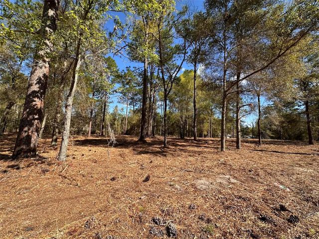 0 W HWY 40, Ocala, FL 34481