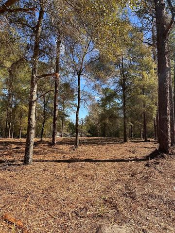 0 W HWY 40, Ocala, FL 34481