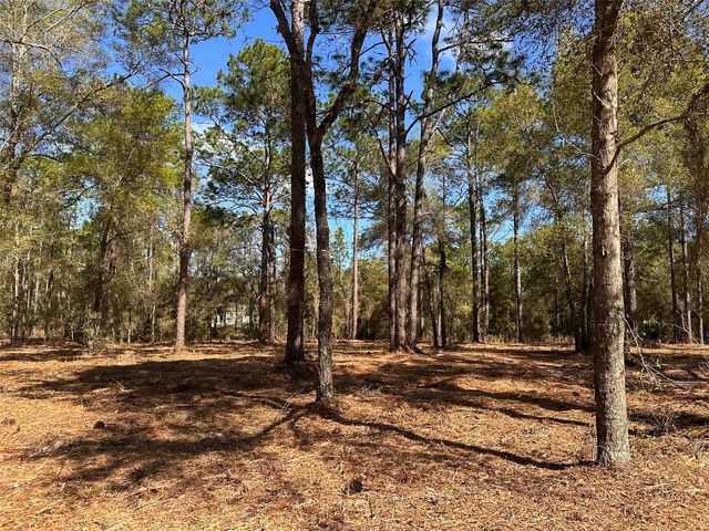 0 W HWY 40, Ocala, FL 34481